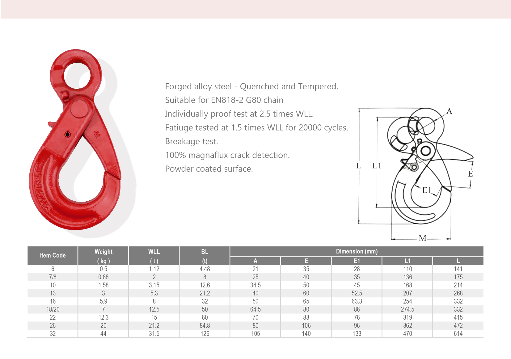 G80? -? IEL-0421H - spec.jpg